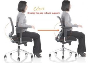 back support for office chair portable lumbar support for office chair the back pain relieving in incredible best lower back support for office chair x