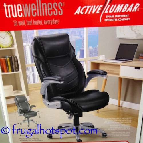 true innovations active lumbar chair